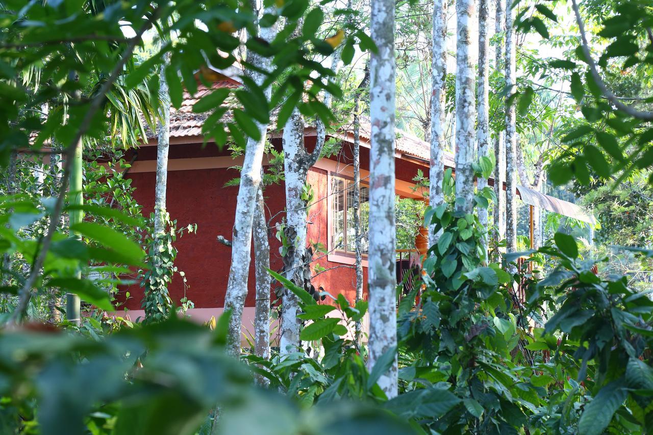 Wayanad Green Park Resort Ambalavayal ภายนอก รูปภาพ