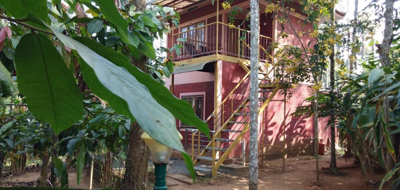 Wayanad Green Park Resort Ambalavayal ภายนอก รูปภาพ